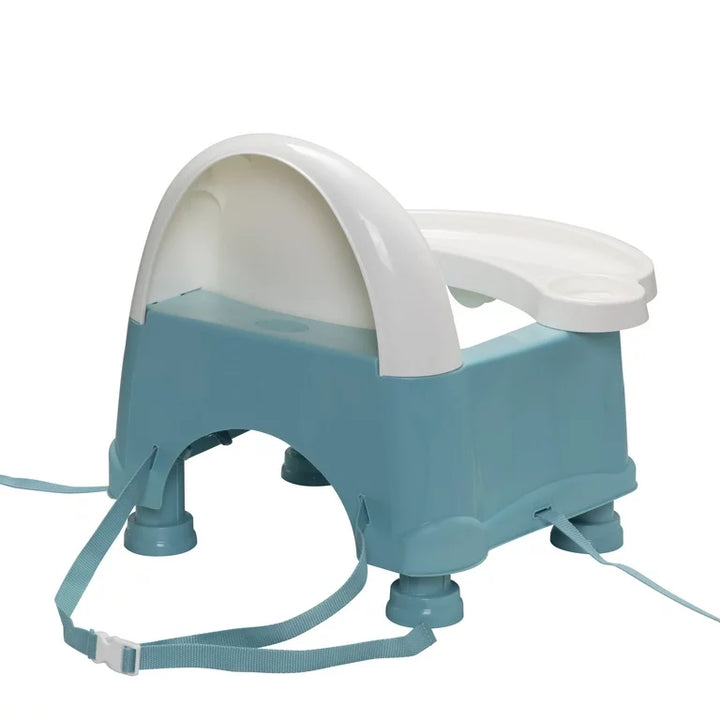 Easy Care Swing Tray Booster